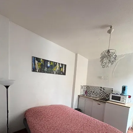Strasbourg Apartmán *